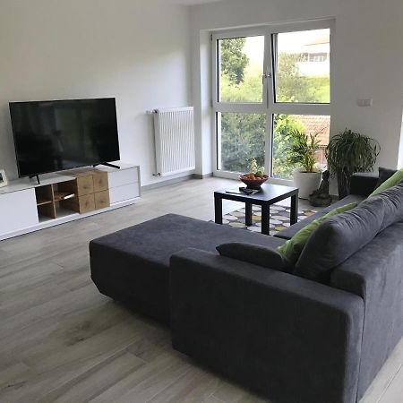 Ferienwohnung „Frosch“ Neukirchen-Balbini Экстерьер фото